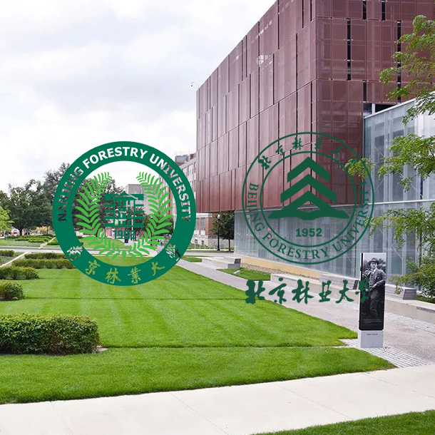 Anhui Guanming Decoration Materials Co., Ltd